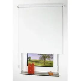 LIEDECO Seitenzugrollo Uni 82 x 180 cm verdunkelnd weiß