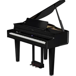 GP-6 (polished ebony)
