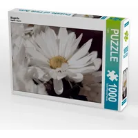 Calvendo Magerite Puzzle