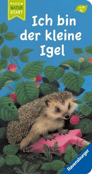 Preisvergleich Produktbild Ich bin der kleine Igel