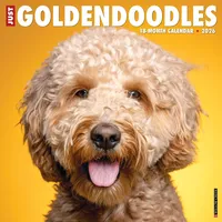 Willow Creek Goldendoodles 2026 Wall Calendar