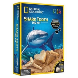 NATIONAL GEOGRAPHIC Lernspielzeug RTNGSHARKINT, Shark Tooth Dig Kit bunt
