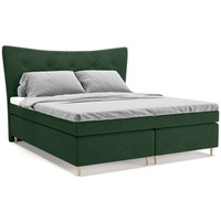Panda Möbel - Colorado Boxspringbett 180x200 cm, kontinentales Doppelbett mit hochwertiger Matratze und Topper - komfortabel, modern - grün