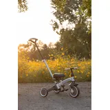 Qplay Stager 3-in-1 Dreirad Braun