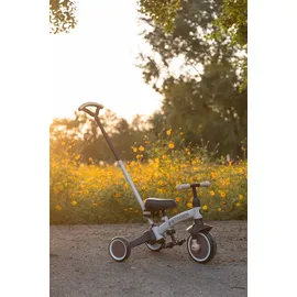 Qplay Stager 3-in-1 Dreirad Braun