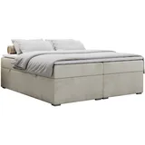 MKS Bess 180 x 200 cm H3 Beige