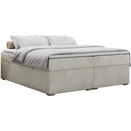 MKS Bess 180 x 200 cm H3 Beige