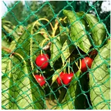 Zill Schutzplane florinotex® Vogelschutznetz Maschenweite 20 x 20 mm 8 x 10 m (1 Stück) grün 8 x 10 m