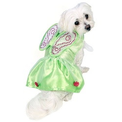 Rubie ́s Hundekostüm Tinkerbell Hundekostüm, Tierisch gut drauf: Feenkostüm für den Hund grün M