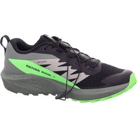 Salomon Sense Ride Herren Black/Laurel Wreath/Green Gecko 46 2/3