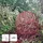 Best Season Led-3d-kugel 'galax Fun', Ockergelb, Alu, 30 cm