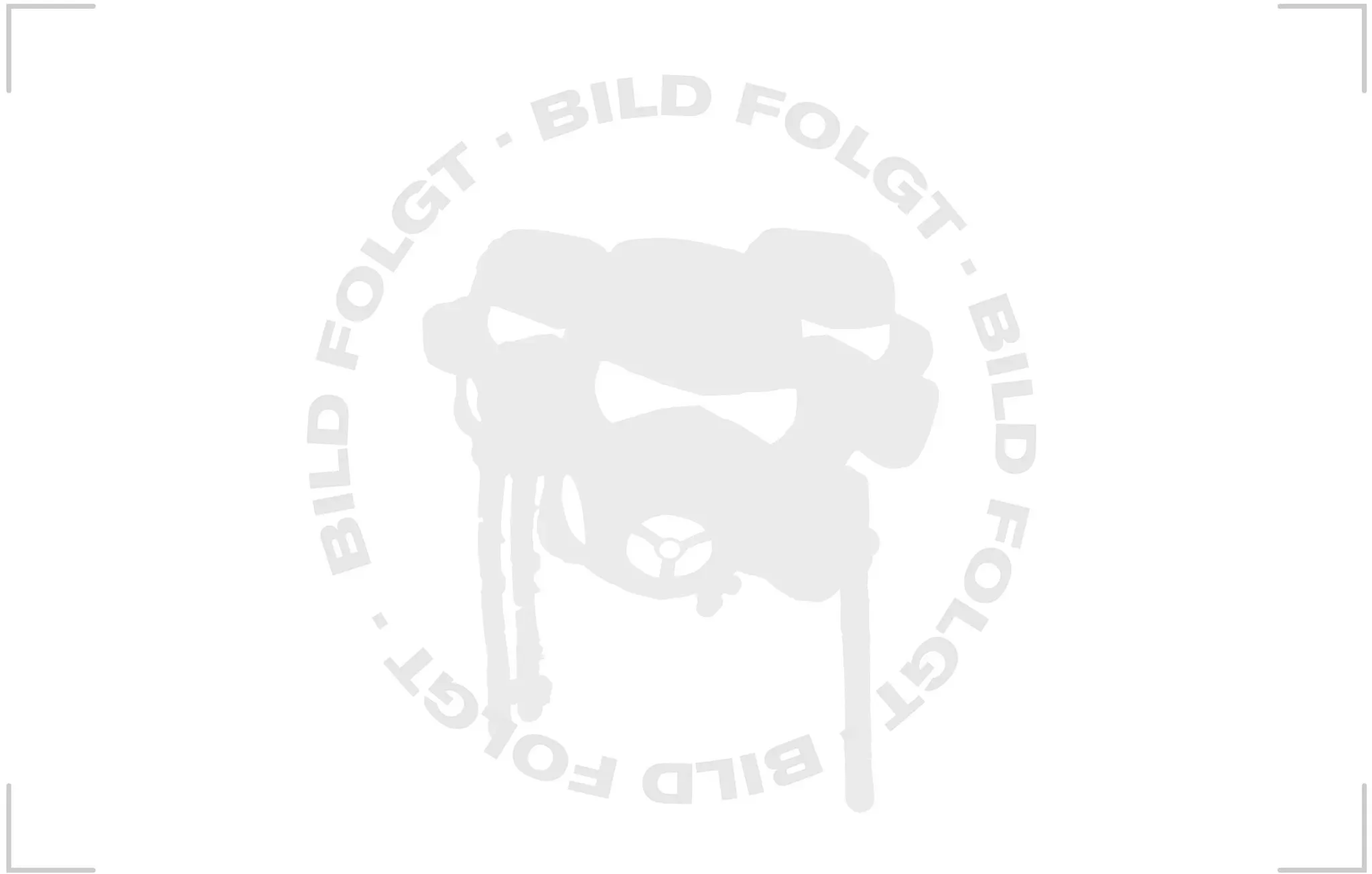 Riemenscheibe Sym Mio 50 MOTOR