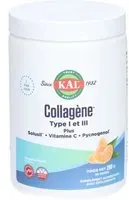 KAL COLLAGENE TYPE I/III PDR30DOSE Poudre 298 g