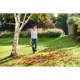 RYOBI RBL18JB-40F