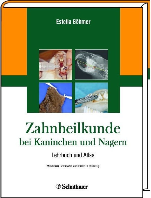 Zahnheilkunde Bei Kaninchen Und Nagern - Estella Böhmer, Gebunden
