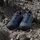 Adidas Terrex Eastrail Goretex Wanderschuhe - Wonder Steel / Shadow Navy / Semi Lucid Blue - EU 44