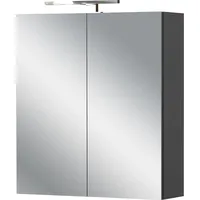 Germania Spiegelschrank Arcena 1395 Graphit 60 cm x 71