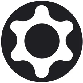 Bosch T20H Security-Torx-Schrauberbit Bit 25 mm 2 St.