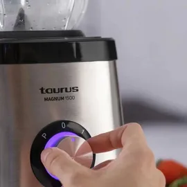 Taurus Alpatec MAGNUM 1500 Stabmixer