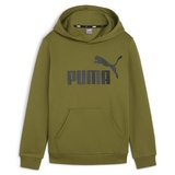 Puma Kapuzensweatshirt ESS BIG LOGO HOODIE FL B grün