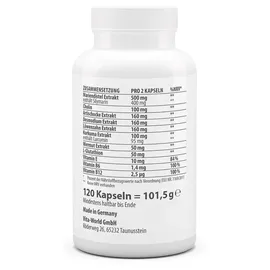 Vita World GmbH Leber-Vital Komplex Kapseln 120 St.