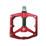 Brave Freeride Carbon rot