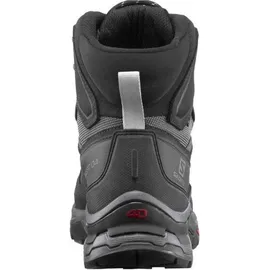 Salomon Quest 4 GTX Herren Magnet/Black/Quarry 42 2/3
