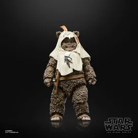 Hasbro Star Wars Paploo 15 cm - Mehrfarbig