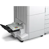 Epson C12c936831 P1 - White