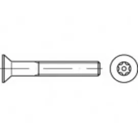 TOOLCRAFT Sicherheitsschrauben M3,5 6 mm 100 Stück