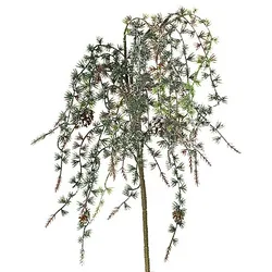 Frostlärchenzapfen-Zweig, 75 cm