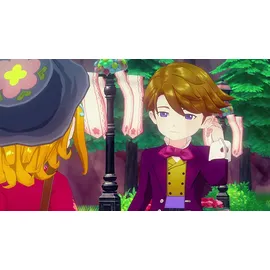 Marvelous Story of Seasons: Grand Bazaar Limited Edition (Nintendo Switch 2)