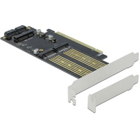 Delock PCI Express x16 Karte zu 1 x M.2 Key-B, M.2 Key M + 1 x mSATA, Storage Controller