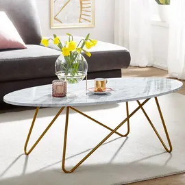 FineBuy Couchtisch Marmor Optik Weiß MDF 120 x 60 x 40 cm