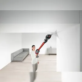 Dyson Cyclone V10 Origin rot