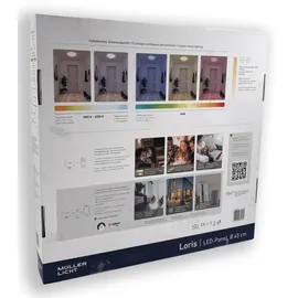 Müller-Licht tint Loris