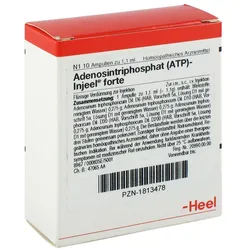 Atp Injeel forte Ampullen