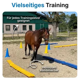 Dönges Balken Set 4 Stück Leder 300 x 17 x 10 cm Gelb/Blau