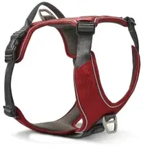 Wolters Active Pro Comfort Hundegeschirr rot/anthrazit 55-65 cm