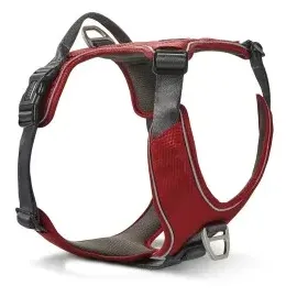 Wolters Active Pro Comfort Hundegeschirr rot/anthrazit 55-65 cm