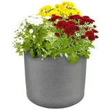 Jelenia Plast Blumenkübel `Kubus` Übertopf Outdoor ø39cm H33cm Pflanzengefäß grau mit Rollen