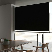 vidaXL Ausziehbare Seitenmarkise 160 x 300 cm schwarz 45193