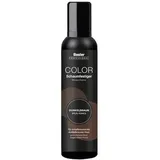 basler Color Schaumfestiger Dunkelbraun, Aerosoldose 200 ml