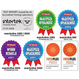 Everactive Akku AA 2600 mAh 4 Stück, NI-MH, Mignon R6, wiederaufladbar, vorgeladen, höchster Leistung, Professional Line 1.2V, 1 Blisterkarte,