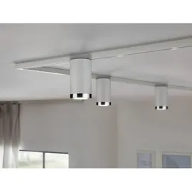 Paulmann URail Spot Tube