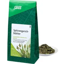 SALUS Spitzwegerichblätter Arzneitee Bio Salus