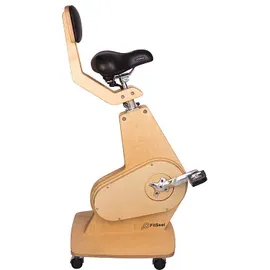 fit&shape Schreibtischfahrrad Professional Pure Nature