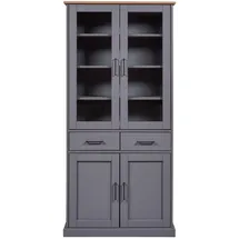 Interlink Vitrinenschrank Forenzo 4T2S  grau