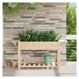 vidaXL Gartenblumentopf 155 x 59 x 76,5 cm Beige
