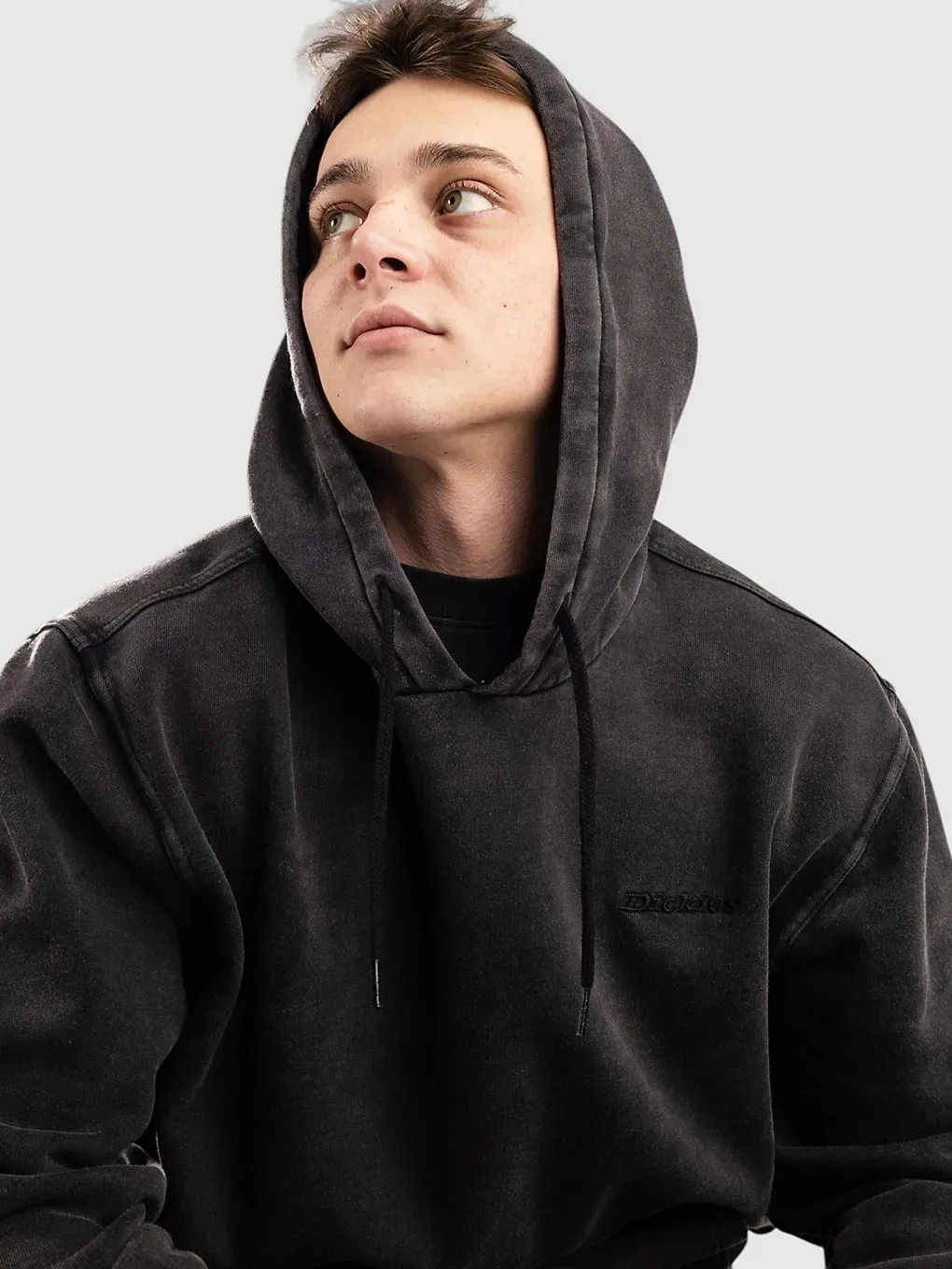 Dickies Plentywood Hoodie black Gr. S